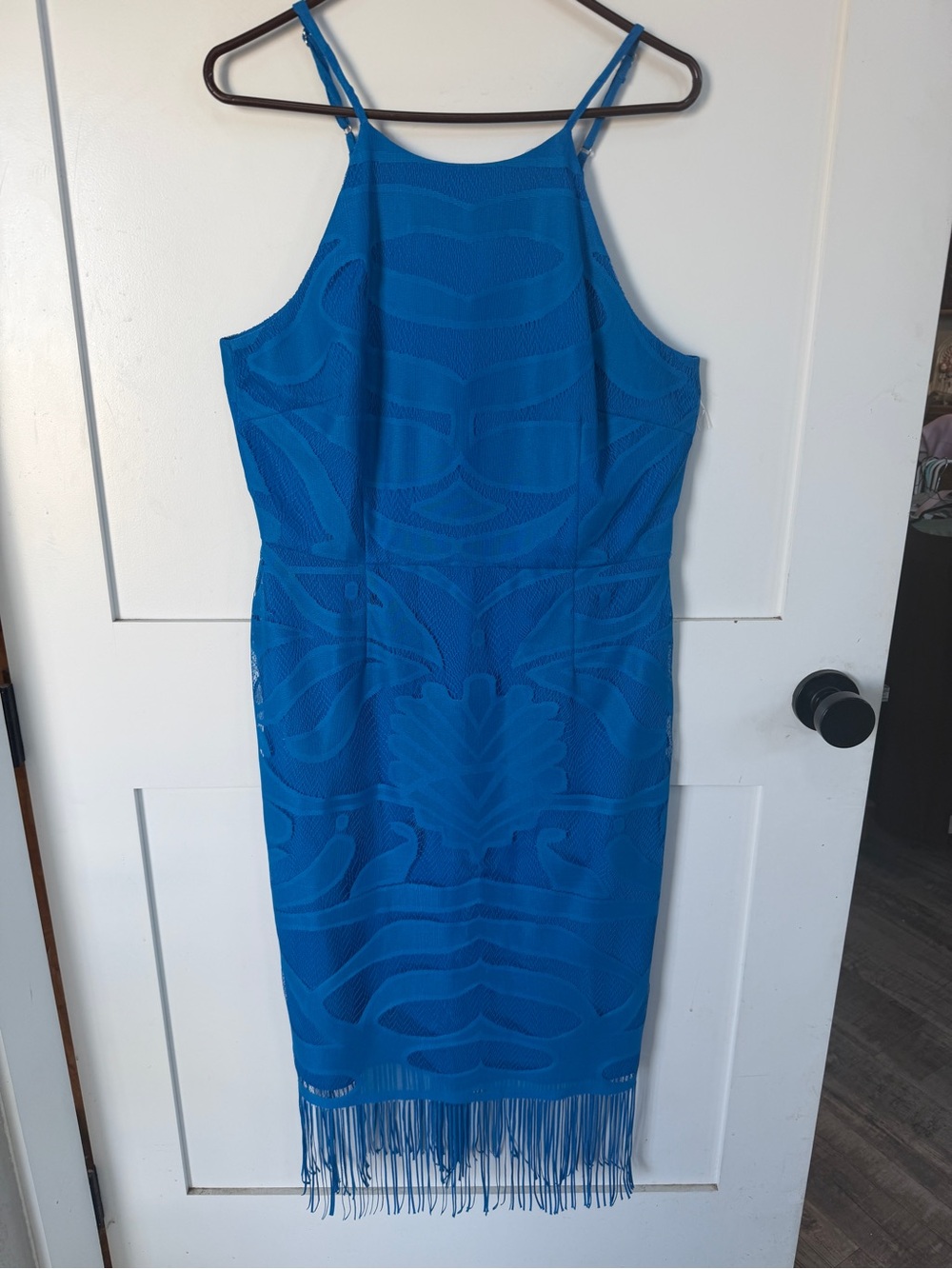Gianni Bini 12 Sleeveless Blue Fringe Sheath Dress